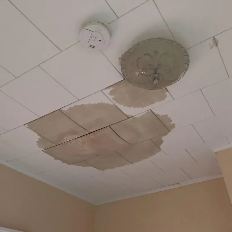 Ceiling Water Damage Repair in Heidelberg, PA