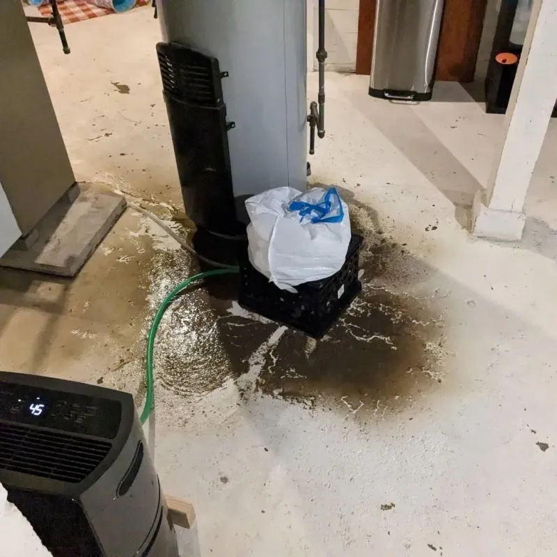 Sewage Backup Cleanup Service in Heidelberg, PA